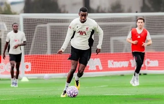 不敌热刺 不敌热刺